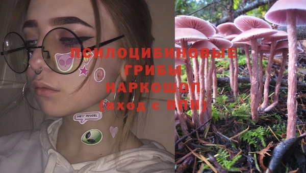 ГАЛЛЮЦИНОГЕННЫЕ ГРИБЫ Бородино