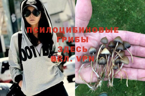 2c-b Верея