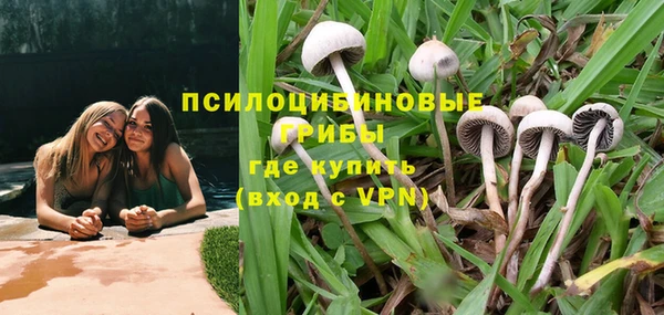 2c-b Верея