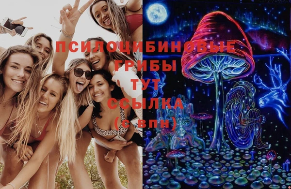 мяу мяу кристалл Инсар