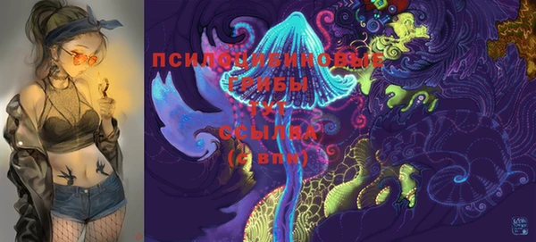 2c-b Верея