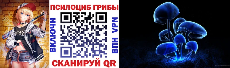 как найти закладки  Гагарин  Псилоцибиновые грибы мицелий 